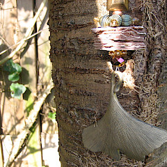 Bronskleurige Gingko hanger